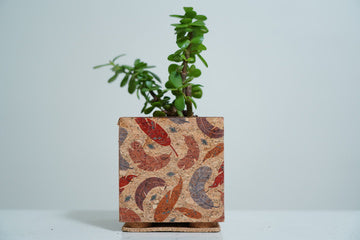 Cork Table Top Planters
