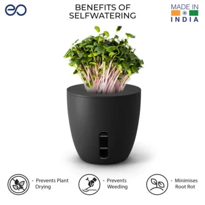 Planters