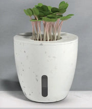 Terra -Plant Pot White