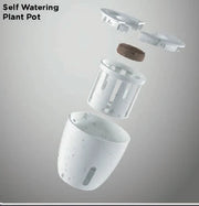 Terra -Plant Pot White.2
