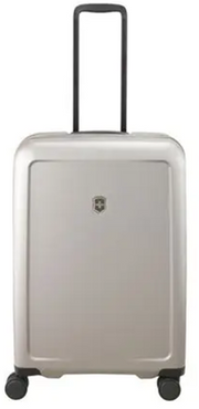 Connex, 26" Medium Hardside Case, Grey