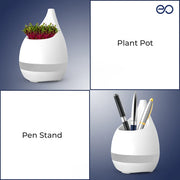 Sprout A Planter for all Places