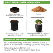 Terra -Plant Pot