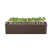 Terrarium - Self Watering Plant Pot