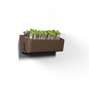 Terrarium - Self Watering Plant Pot